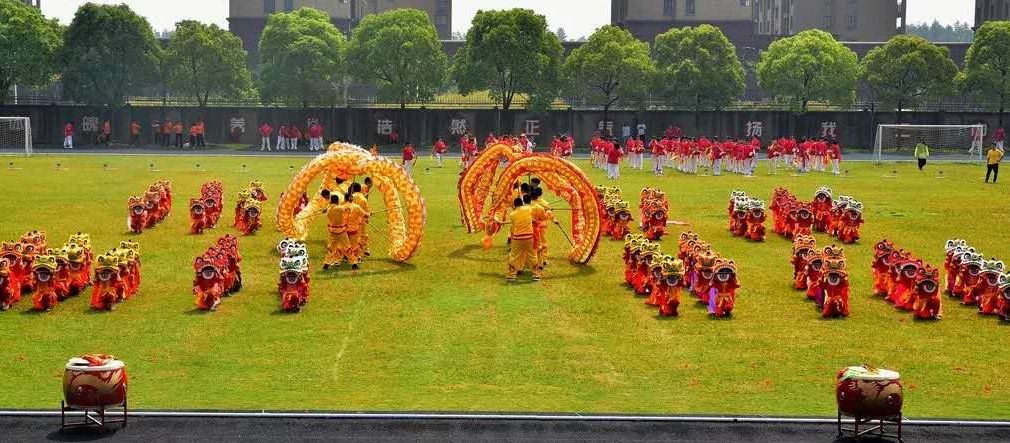 百狮会龙